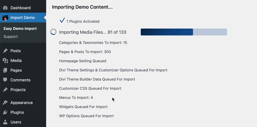 importing demo content of divi child theme