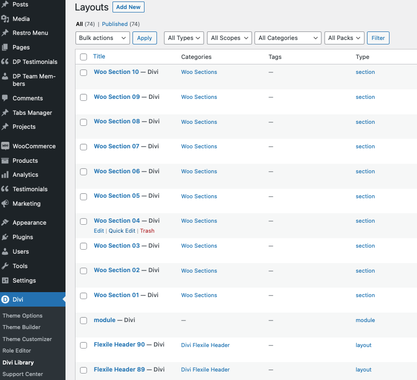 Woo divi library layouts
