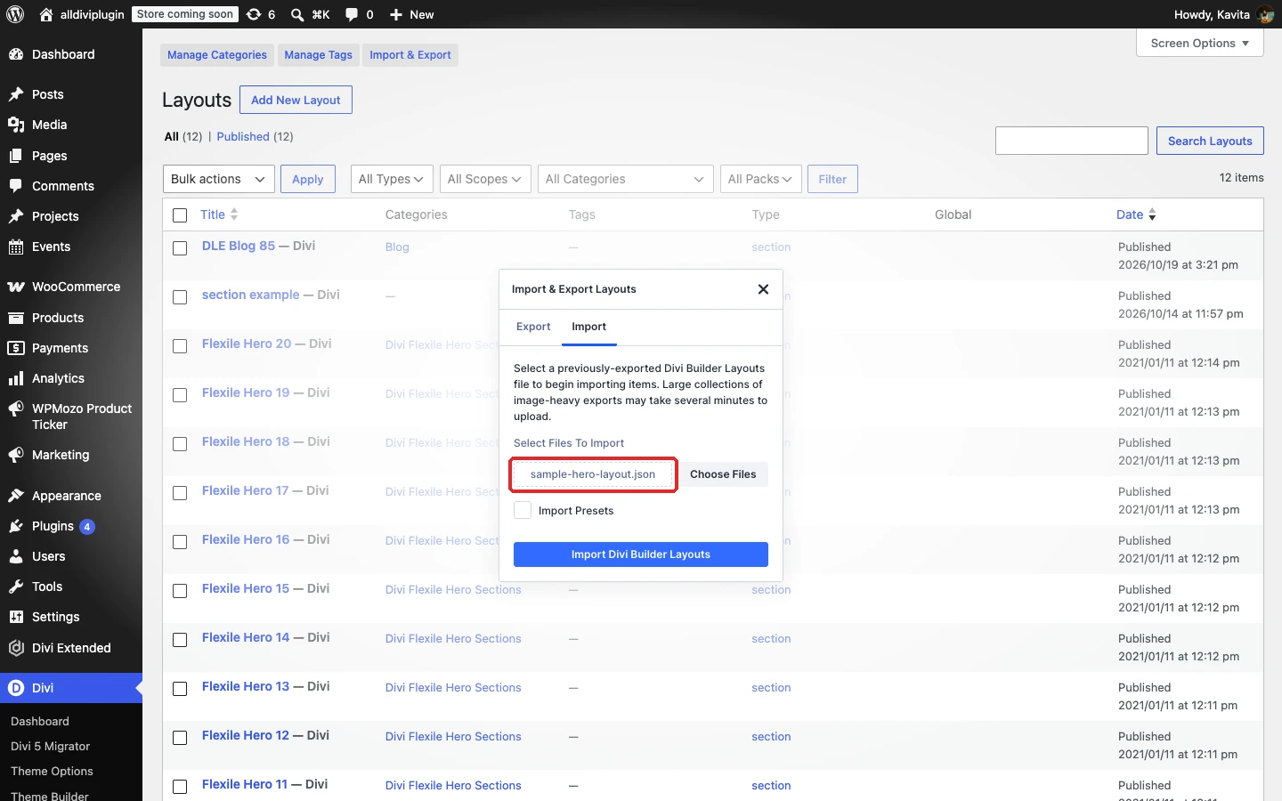 Layout JSON file selected in the Import tab
