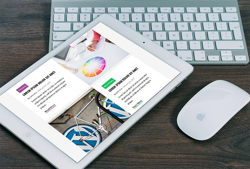 Web Support and Maintenance Service Web Support