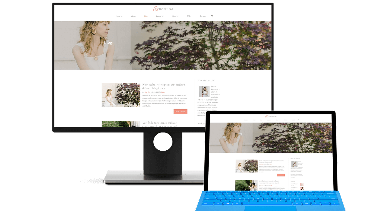 Divi blog theme