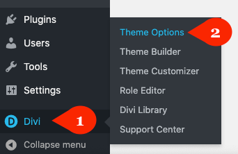 Divi Theme Options