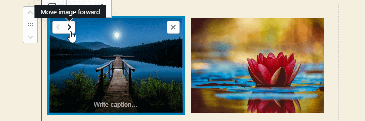 WordPress 5.3 Gutenberg Gallery image move forward