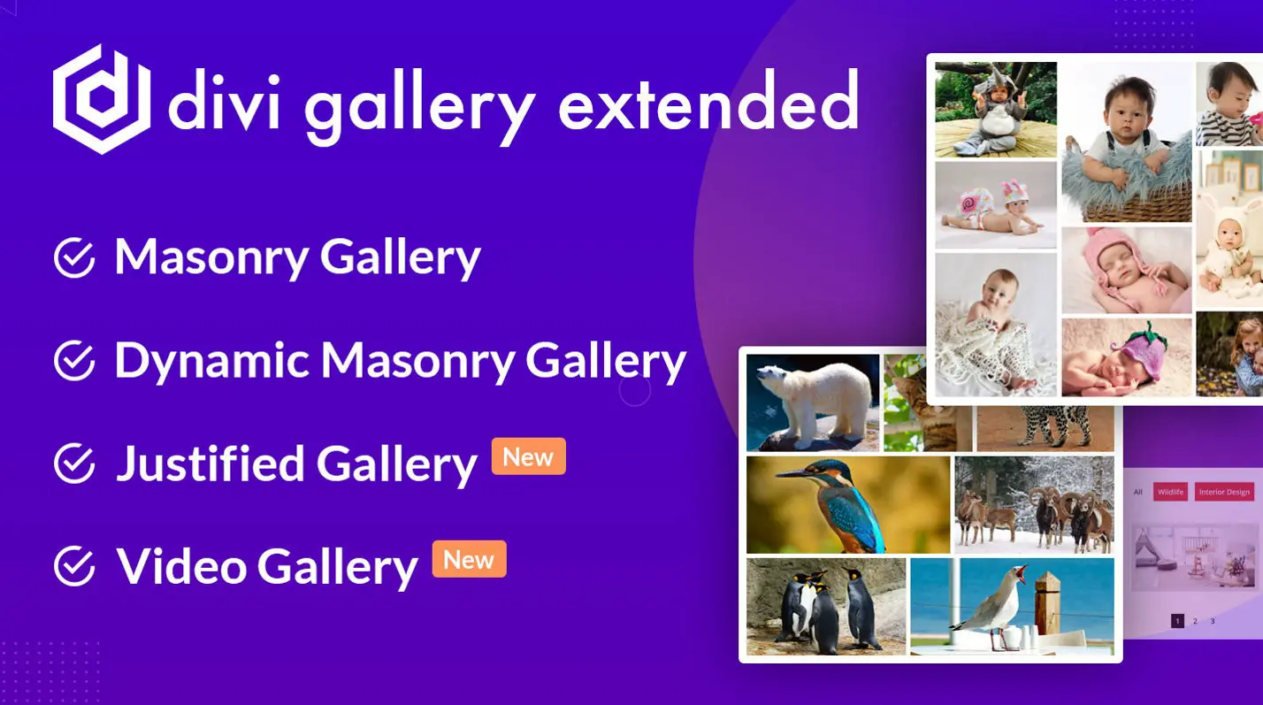 Divi Gallery Extended