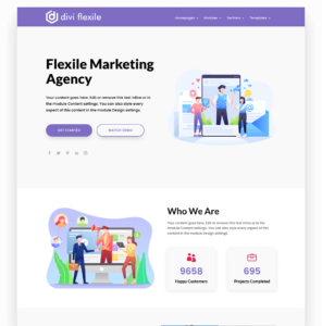 Agency homepage layout flexile