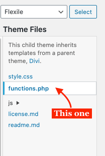 Theme files tab inside theme editor WordPress