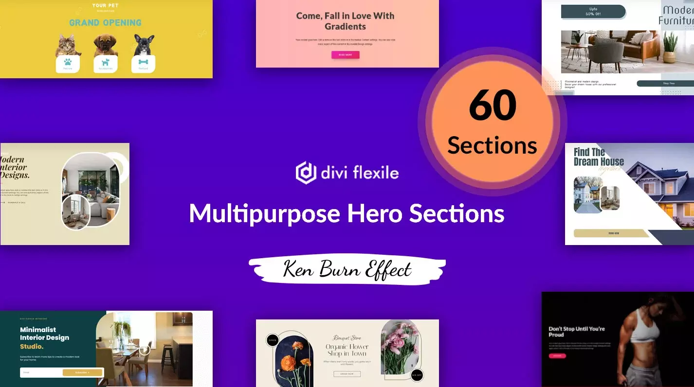 Divi layouts pack of Divi Hero Sections
