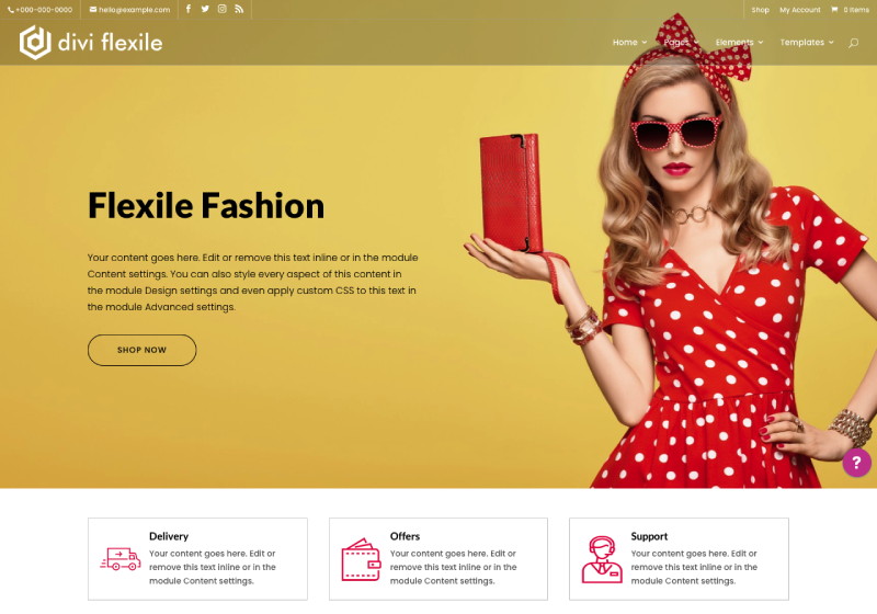 Divi Flexile Divi WooCommerce web design