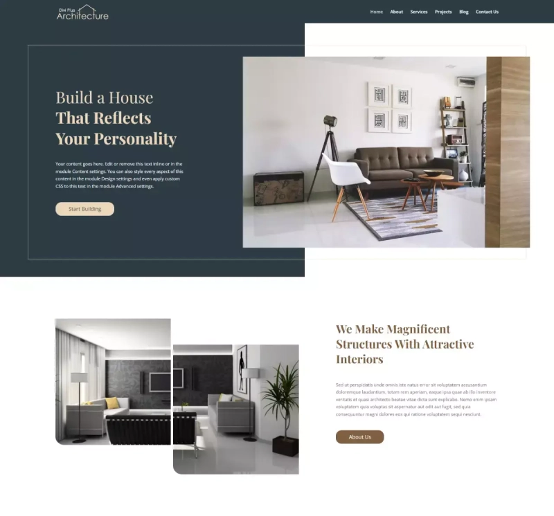 Divi Plus Architecture child theme homepage