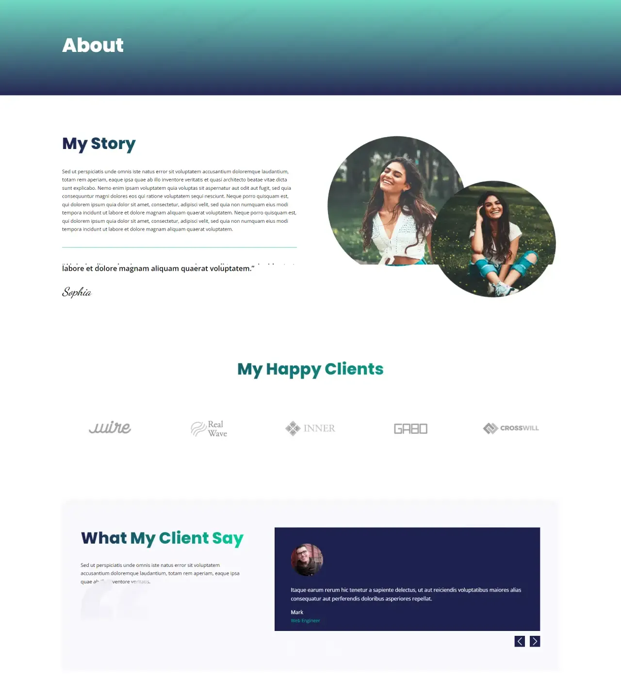 Divi Plus Freelancer child theme about page