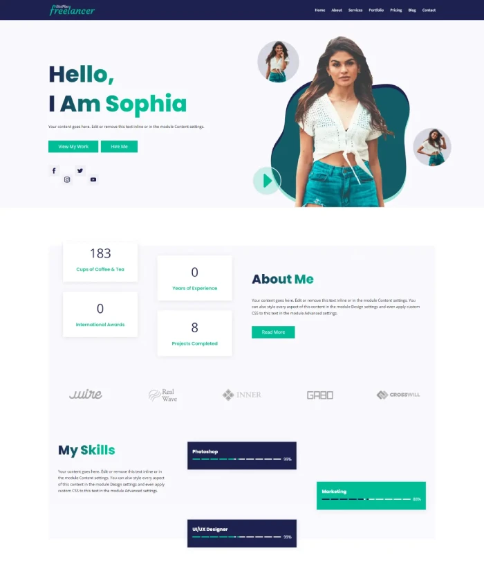 Divi Plus Freelancer child theme homepage