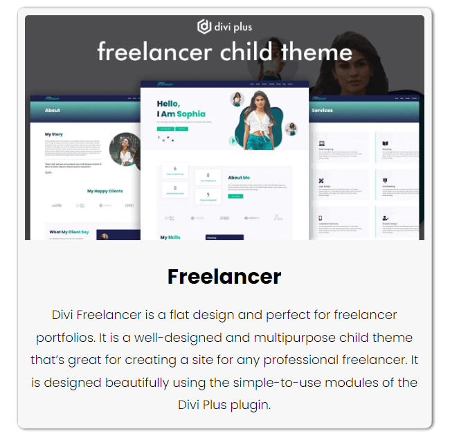 Divi Plus Freelancer child theme