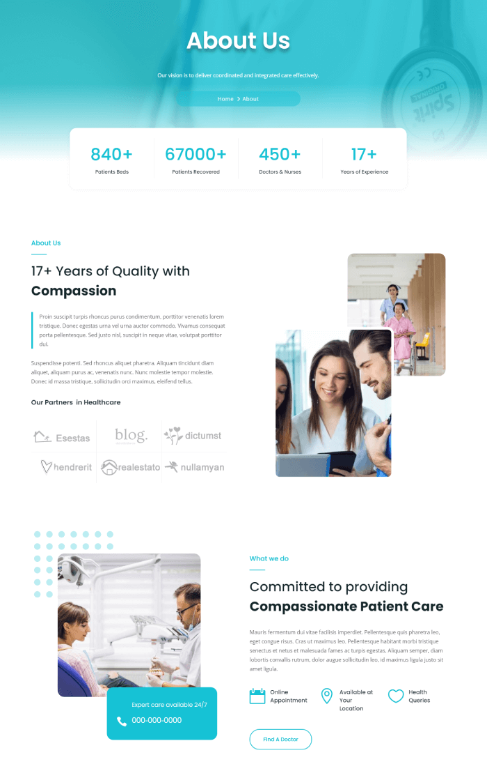 Divi Plus Medical Child theme and its about page