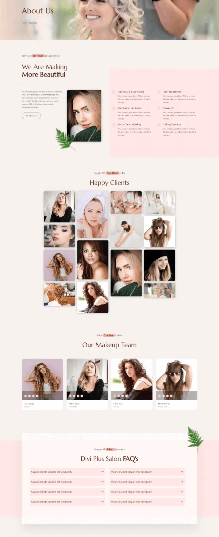 Divi Plus Salon child theme about page