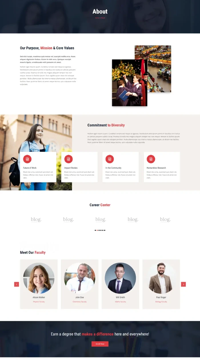 Divi Plus University child theme about