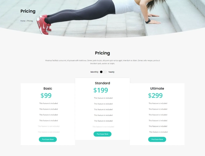 Divi Plus Yoga child theme pricing page