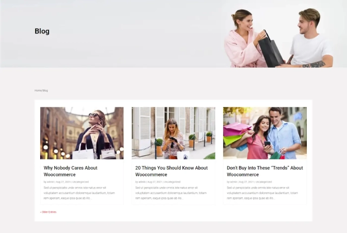 Divi Plus eCommerce blog page