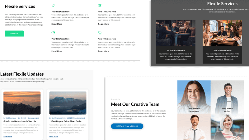 Flexile child themes different sections for Divi web design