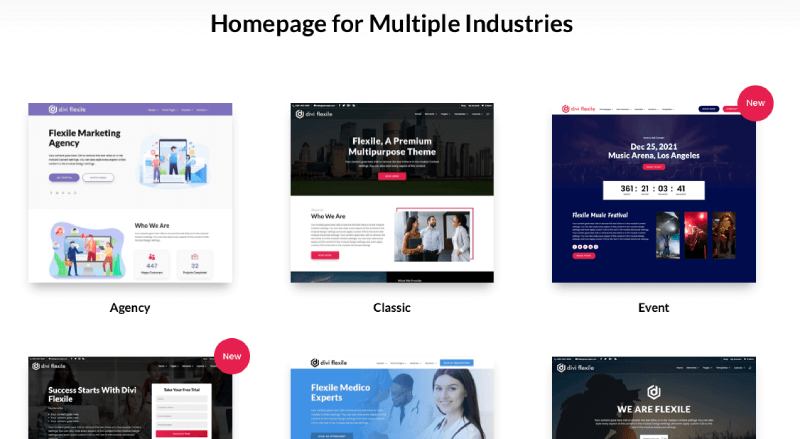 Multiple homepage layouts by Flexile child theme