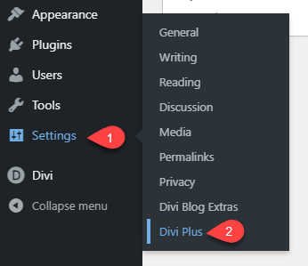 Opening Divi Plus settings