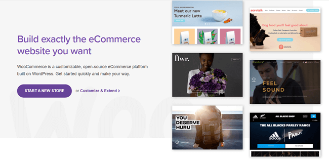 Divi WooCommerce Shop With WooCommerce and Divi