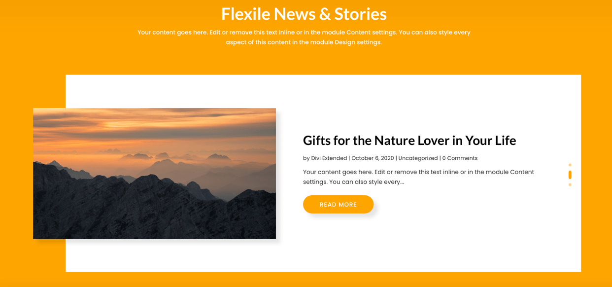 divi flexile blog y