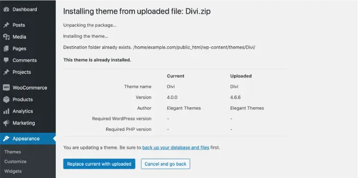 Divi theme manual update options