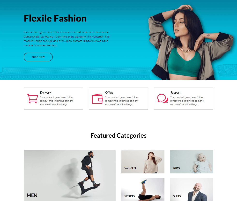 flexile-marketing-agency