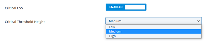 Critical CSS load in Divi