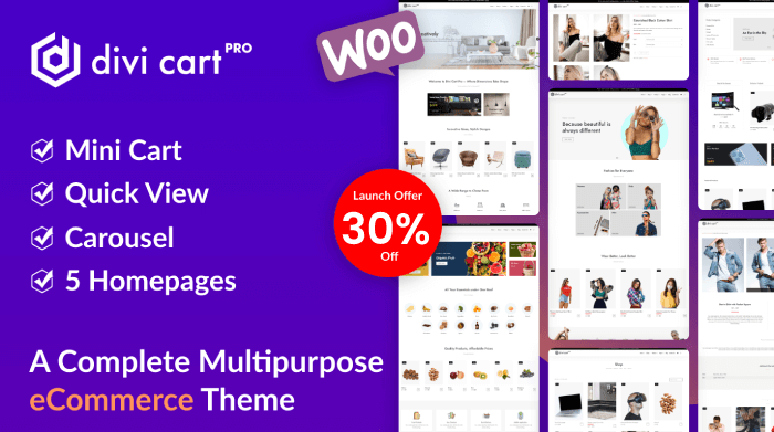 Divi Cart Pro child theme for Divi Shop