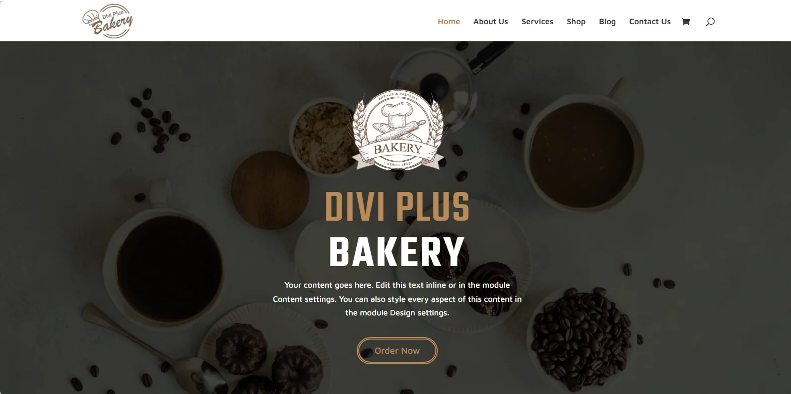 Bakery WooCommerce Theme for Divi