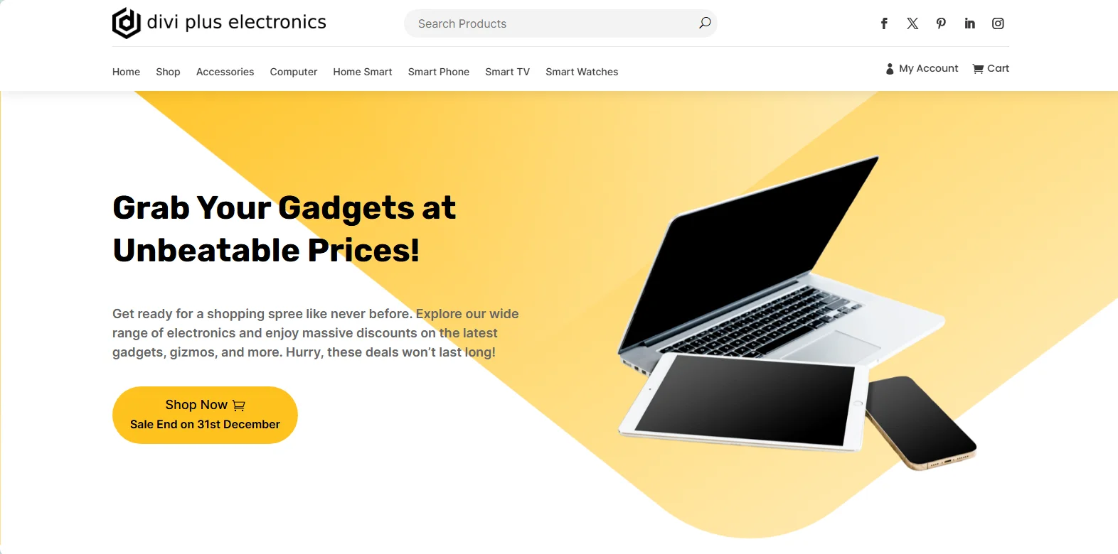 Divi Plus electronics store