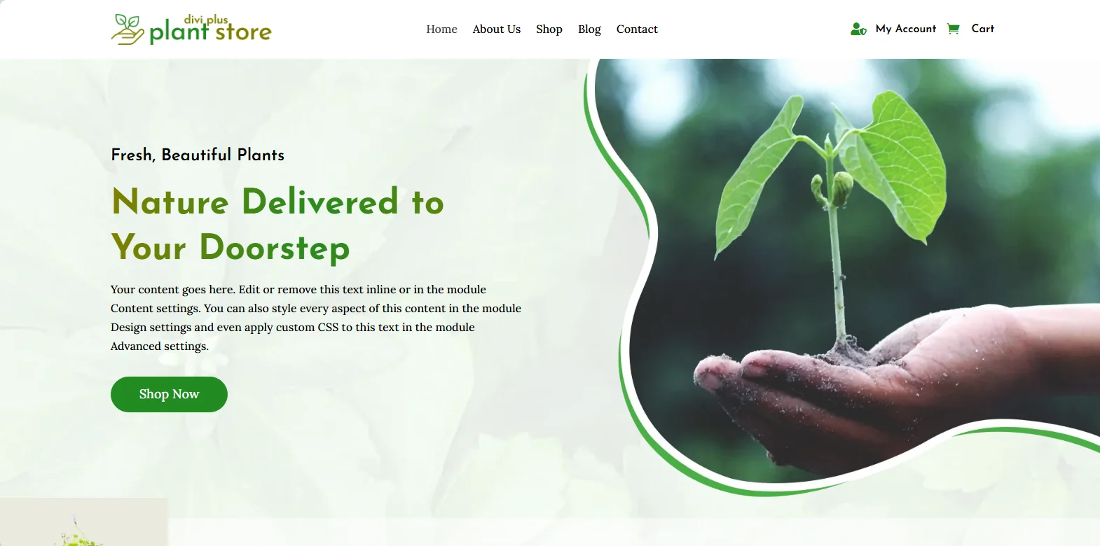 Divi eCommerce theme for plants