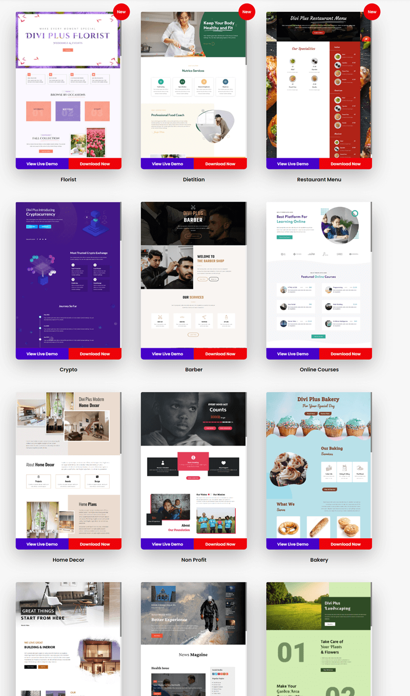 Divi Plus Layouts gallery