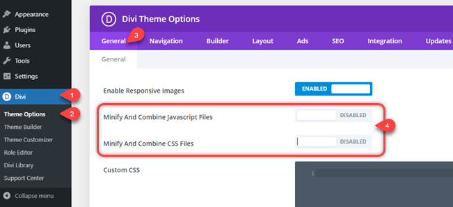 Disabling Divi's Inbuilt speed configuration