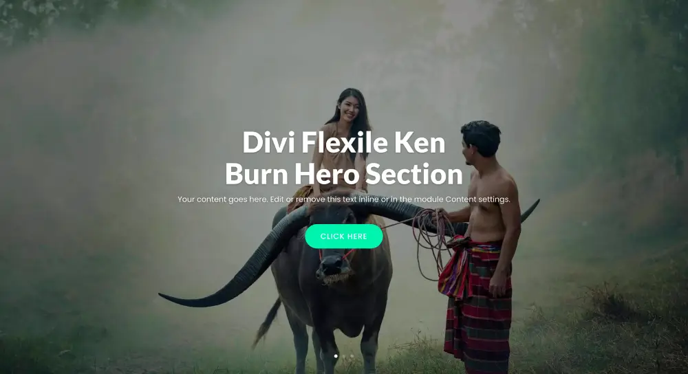 Divi Hero Section