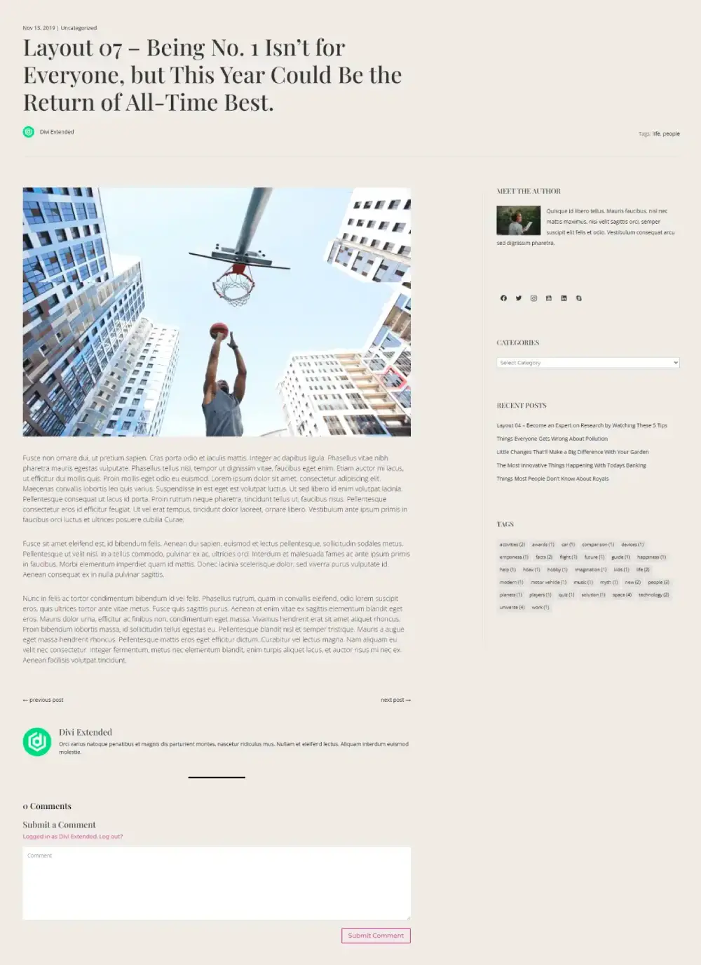 Divi Post Layout