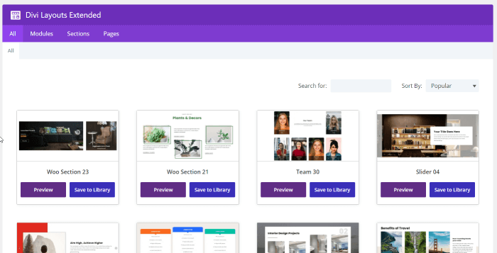 Divi Layouts Extended layouts panel