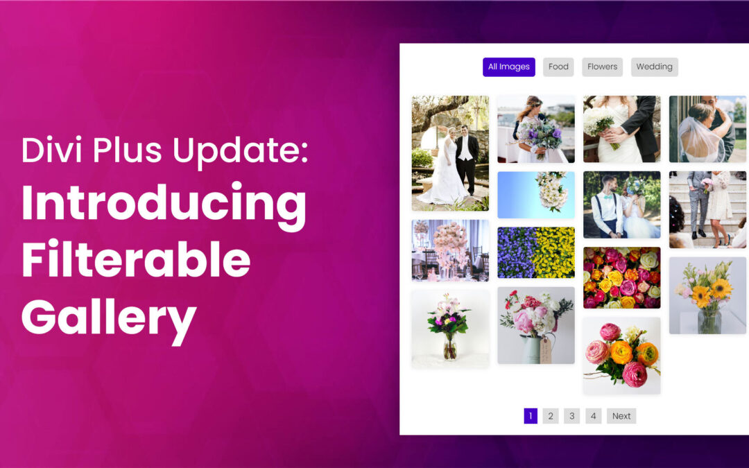 Divi Plus Update: Introducing Filterable Gallery