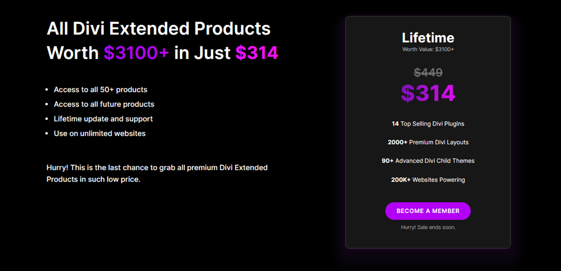 Lifetime access on Divi Extended