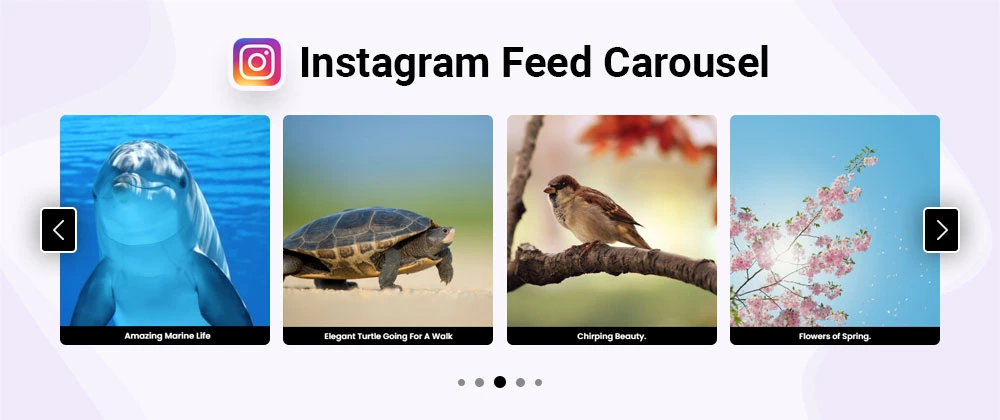 Divi Instagram Feed Carousel Module