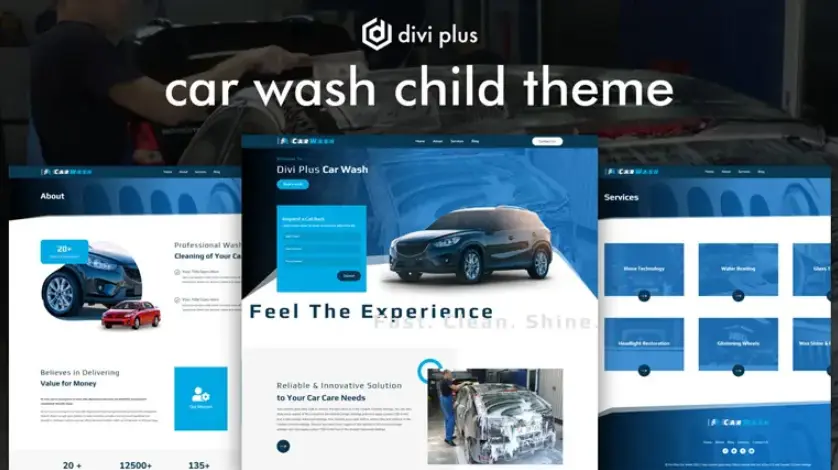 Divi car wash child theme