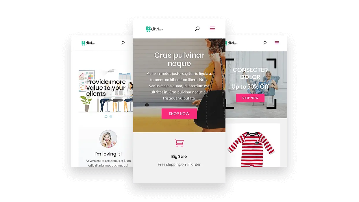 woocommerce child theme for divi