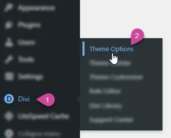 Accessing Divi Theme Options