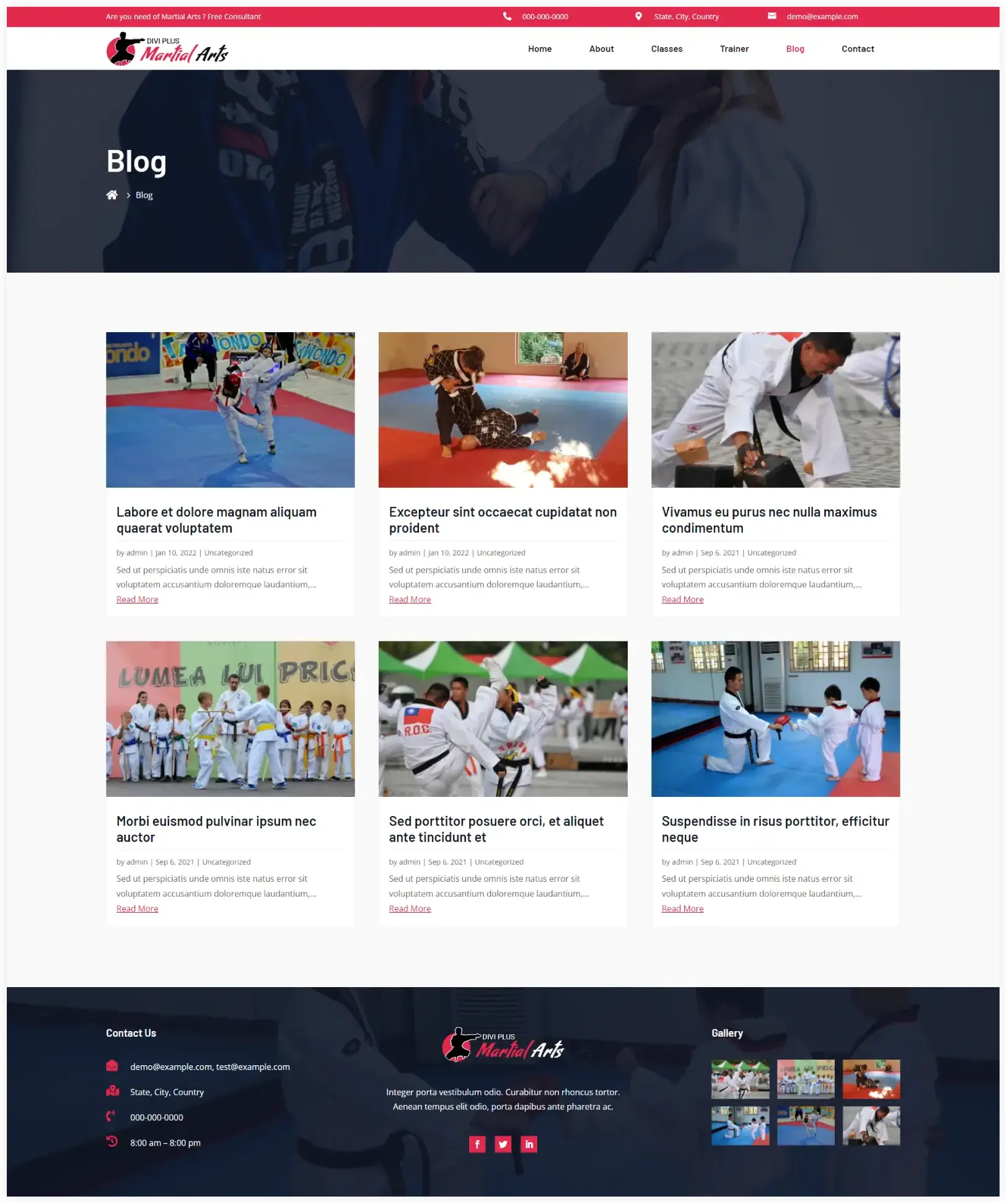 Divi martial art blog layout