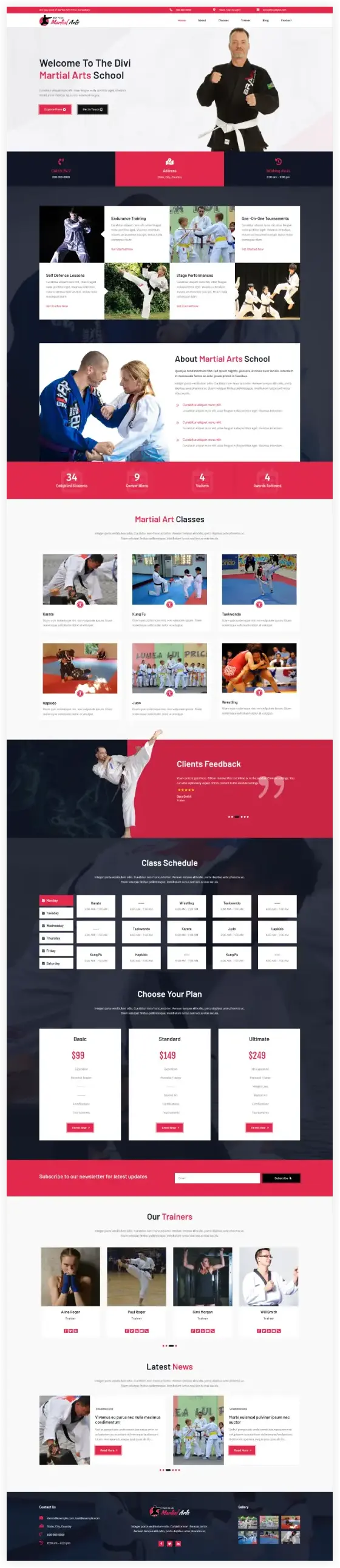 Divi Martial art child theme home page
