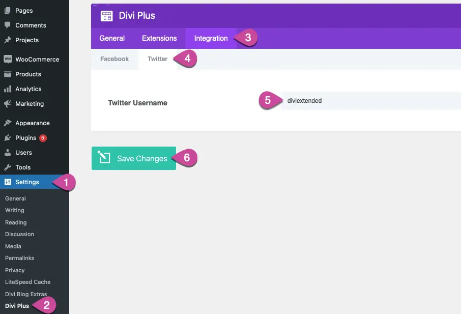 Inserting Twitter username in the Divi Plus panel