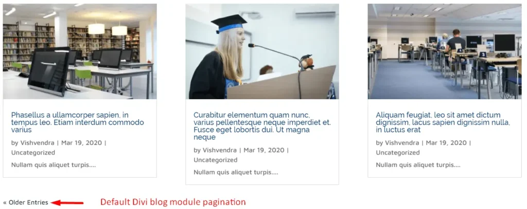 Default pagination of Divi blog module