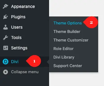 Divi masonry gallery theme option