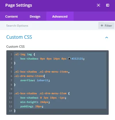 Divi page settings for custom CSS